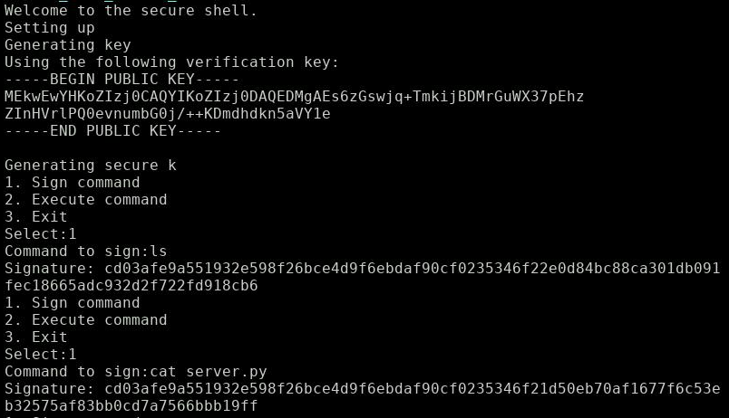 Obtaining the public key and 2 signatures