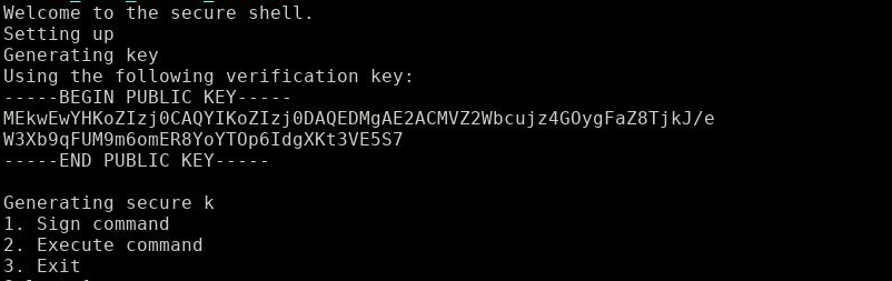 Server prompt of the challenge